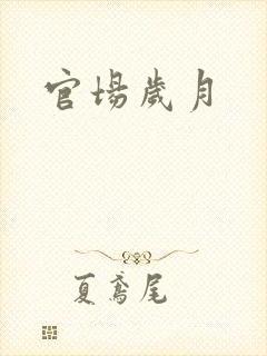 官场岁月