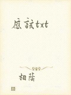 应该txt
