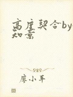 高度契合by洛知意