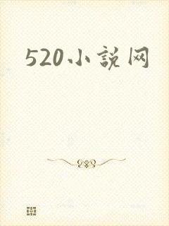 520小说网