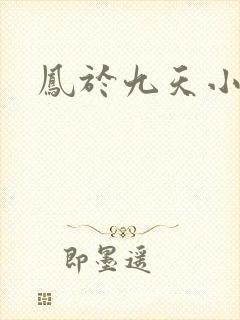 凤于九天小说