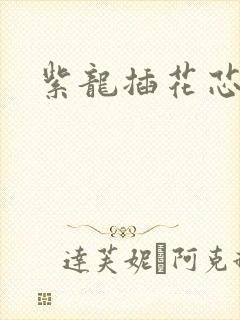 紫龙插花芯方正