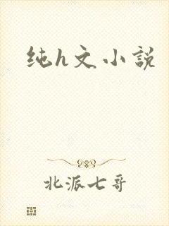 纯h文小说