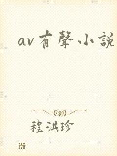 av有声小说