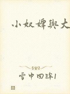 小奴婢与大少爷