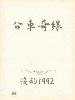 公车奇缘