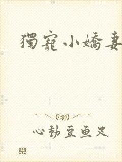 独宠小娇妻