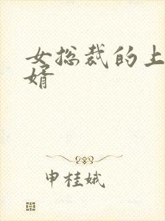 女总裁的上门女婿