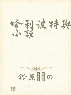 哈利波特与密室小说