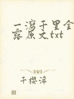 一泻千里金银花露原文txt