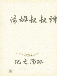 汤姆叔叔转接口