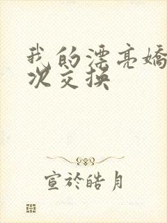 我的漂亮娇妻初次交换