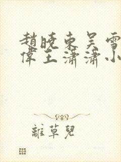 赵晓东吴雪晴郑伟王潇潇小说名字