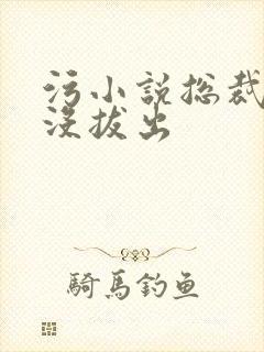 污小说总裁整夜没拔出