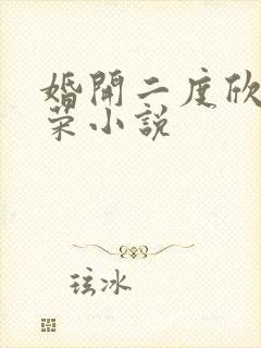 婚开二度欣欣向荣小说