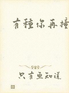 有种你再撞一下