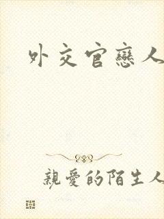 外交官恋人小说