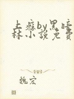 上瘾by黑暗森林小说免费