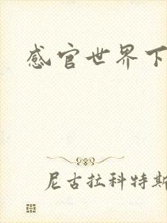 感官世界下载