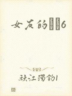 女友的妺妺6