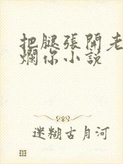 把腿张开老子臊烂你小说