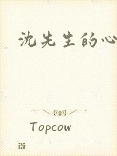 沈先生的心头宝