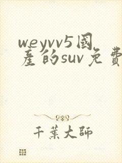 weyvv5国产的suv免费