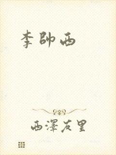 李帅西