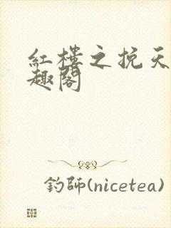 红楼之挽天倾笔趣阁