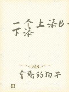 一个上添B一个下添