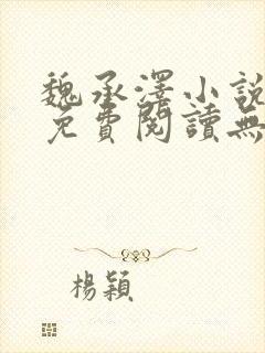 魏承泽小说全文免费阅读无弹窗笔趣