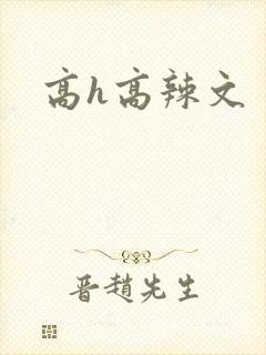高h高辣文