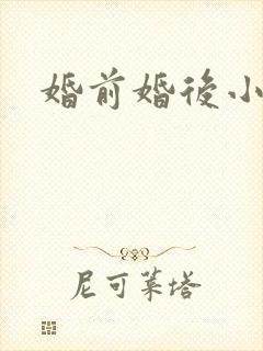 婚前婚后小说