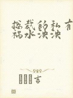 总裁的私有宝贝祸水泱泱