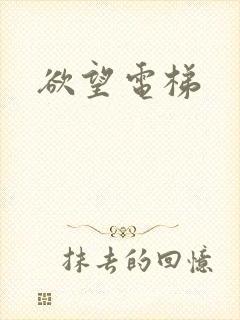 欲望电梯