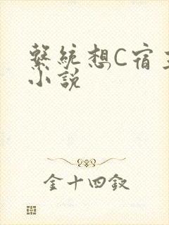 系统想C宿主的小说