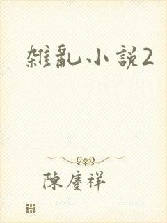 杂乱小说2