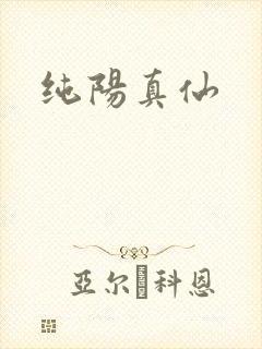 纯阳真仙