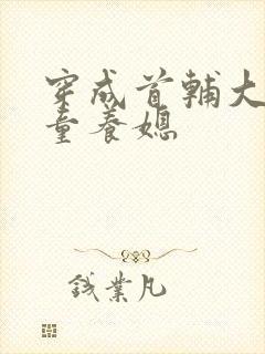 穿成首辅大人的童养媳