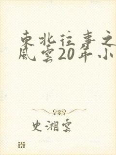东北往事之黑道风云20年小说