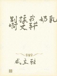 别揉我奶乳嗯～啊文轩