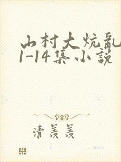 山村大炕乱肉续1-14集小说