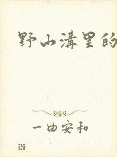 野山沟里的村庄