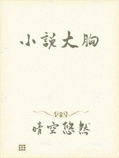 小说大胸