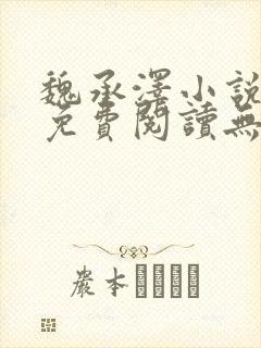 魏承泽小说全文免费阅读无弹窗笔趣