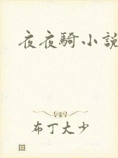 夜夜骑小说