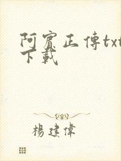 阿宾正传txt下载