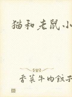 猫和老鼠小说