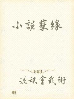 小说孽缘