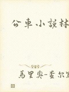 公车小说林蔓蔓
